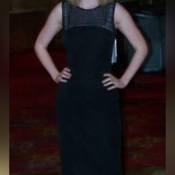 Roland Mouret x Banana Republic lace panel sleeveless dress - Picture 6 of 7